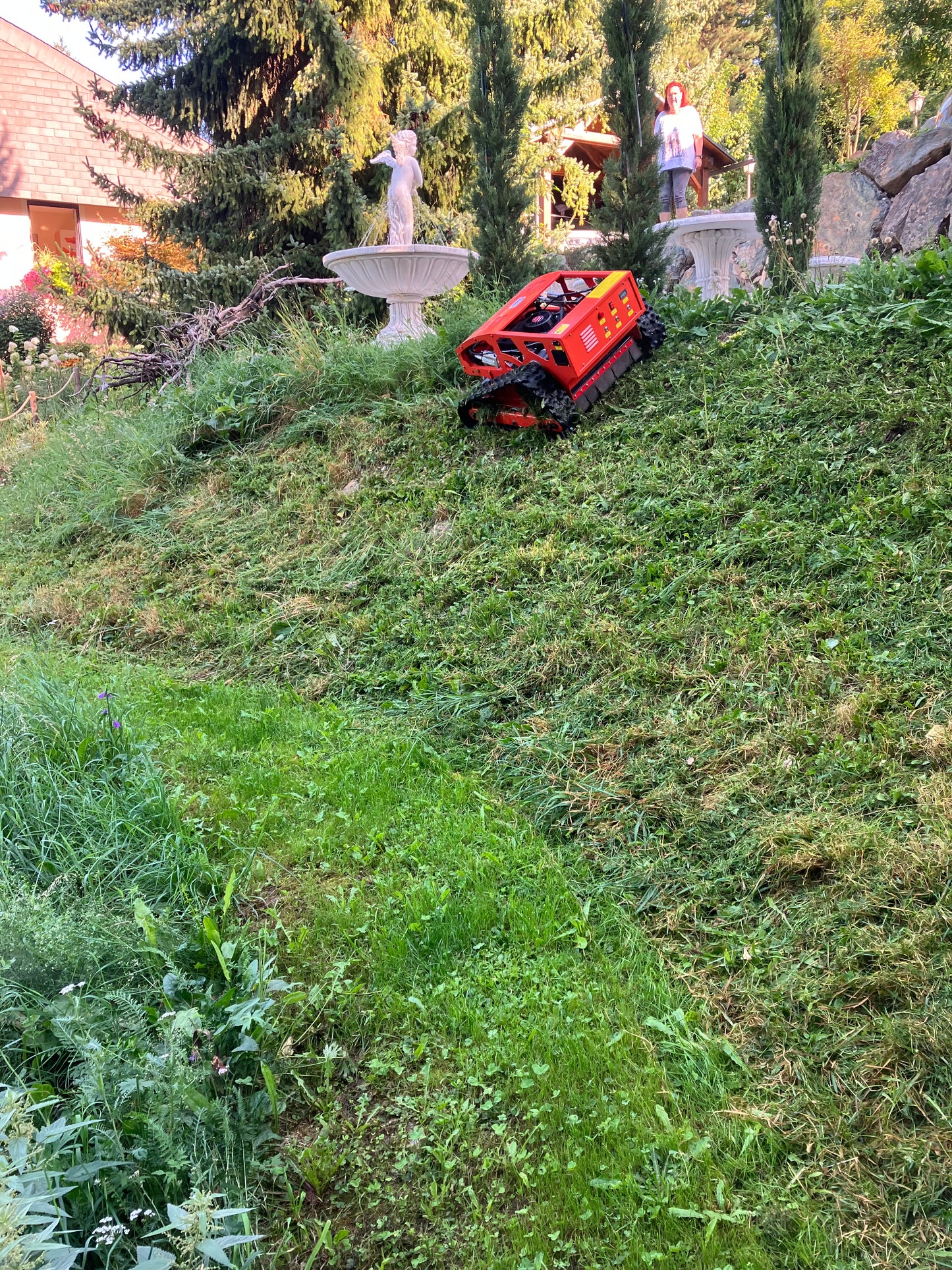 Slopemower by TiMach, SM55V Ferngesteuerter Mulcher